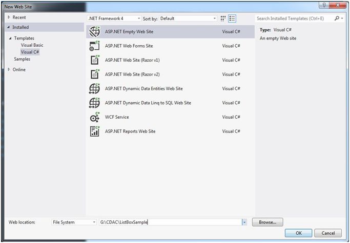 ASP.NET web site project